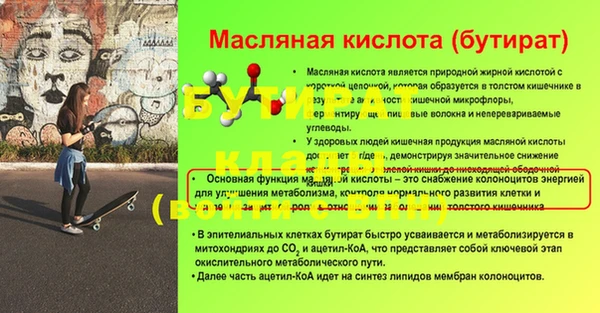 гидра Абаза