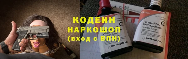 гидра Абаза