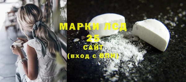гидра Абаза