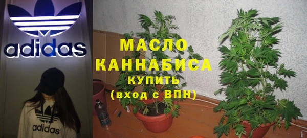 гидра Абаза