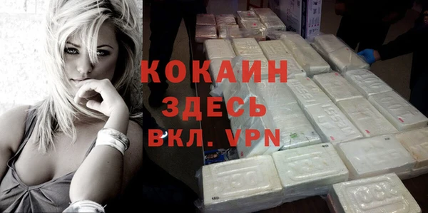 гидра Абаза