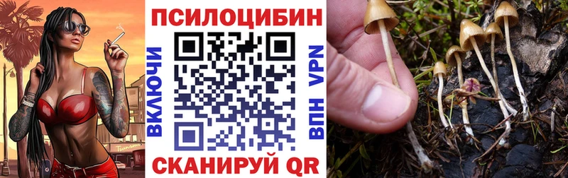 mega как зайти  Абинск  это как зайти  Галлюциногенные грибы Cubensis 